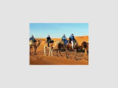 Camel Expeditions