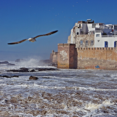 PhotoMarrakech excursions, Essaouira 