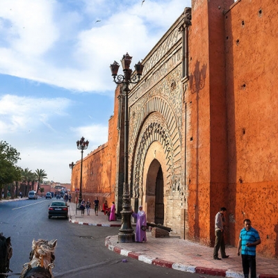 PhotoLes jardins de Marrakech en calèche 