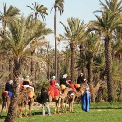 PhotoBalade insolite à dos de chameau à Marrakech