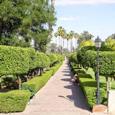 PhotoBillet pour les jardins de Marrakech et transferts