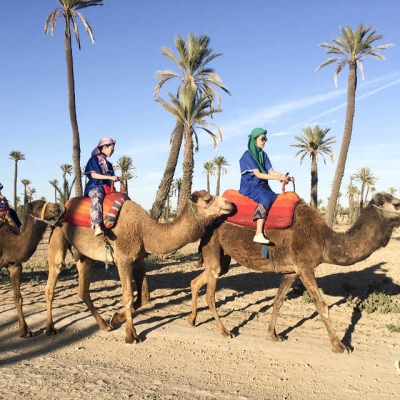 PhotoPalmeraie de Marrakech : coucher de soleil à dos de chameau